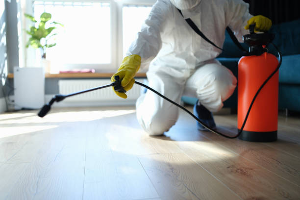 Reliable Biohazard Cleanup contractor in London, CA by Trauma Clean Pros